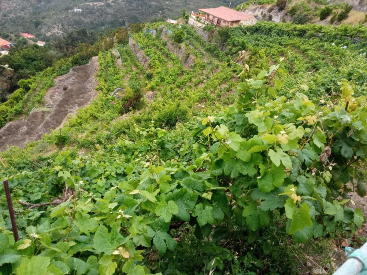 Casa Rural Quilla Agulo Luaran gambar