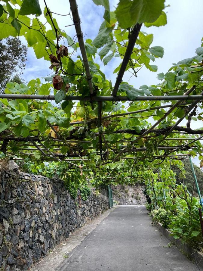 Casa Rural Quilla Agulo Luaran gambar