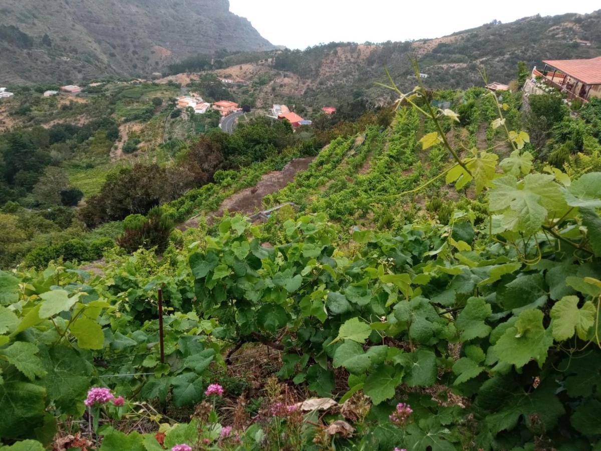 Casa Rural Quilla Agulo Luaran gambar